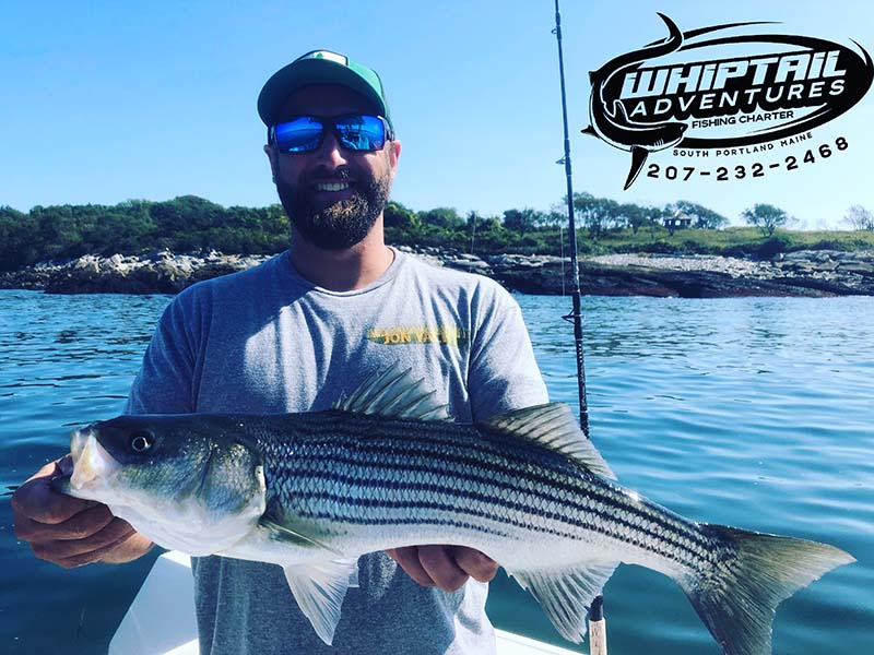Whiptail Adventures Sea Fishing
