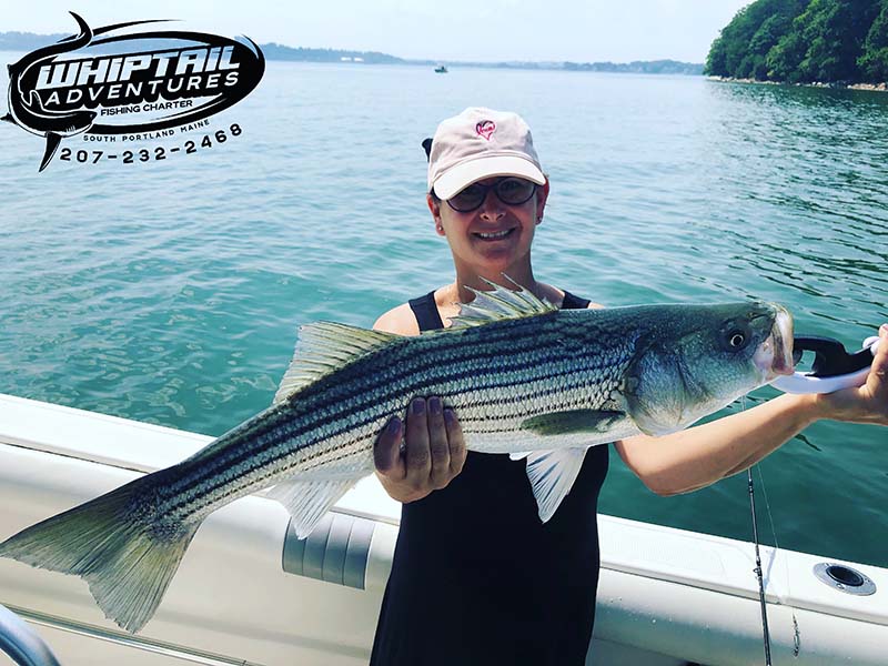Whiptail Adventures Sea Fishing