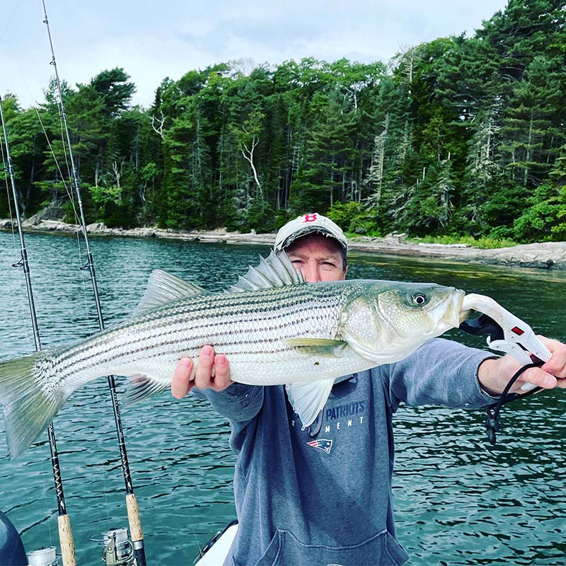 Whiptail Adventures Sea Fishing