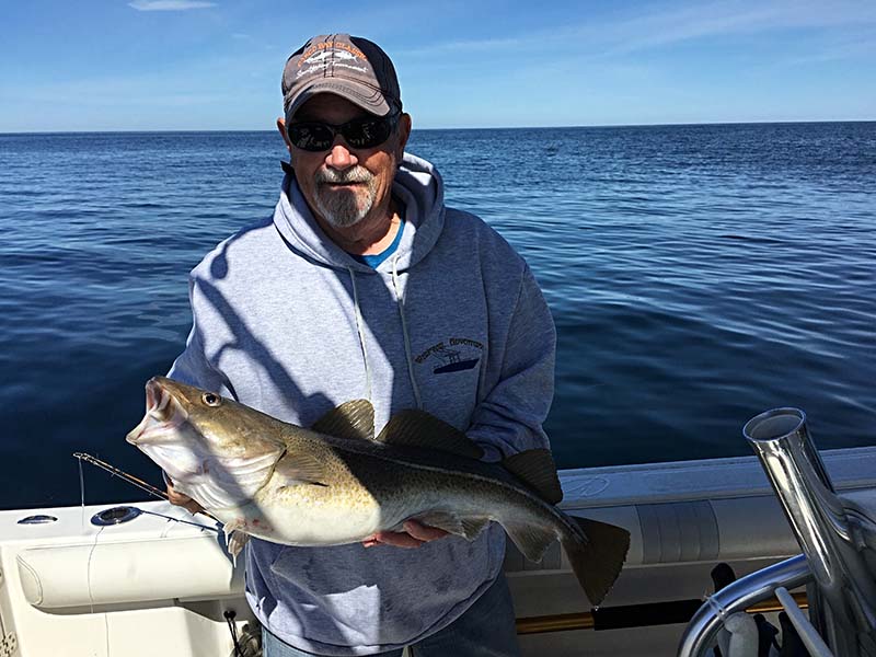 Whiptail Adventures Sea Fishing