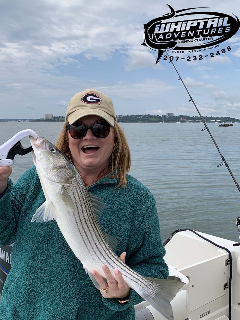 Whiptail Adventures Sea Fishing