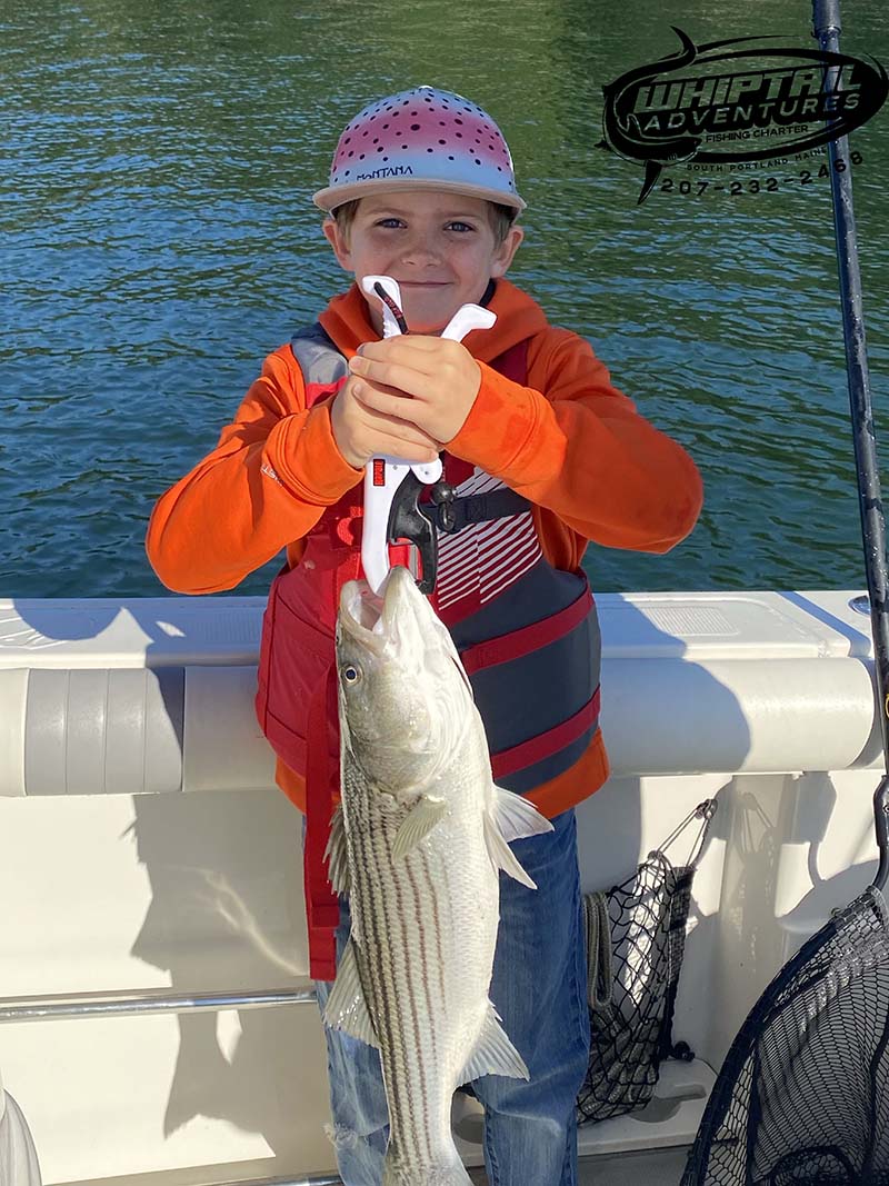 Whiptail Adventures Sea Fishing