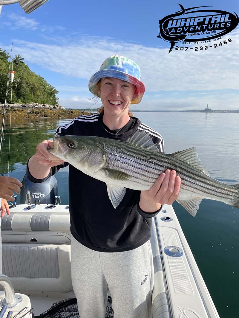 Whiptail Adventures Sea Fishing