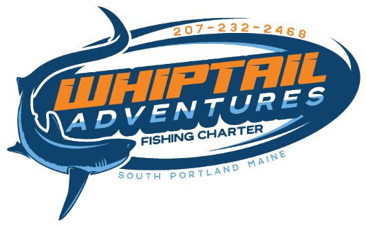Whiptail Adventures